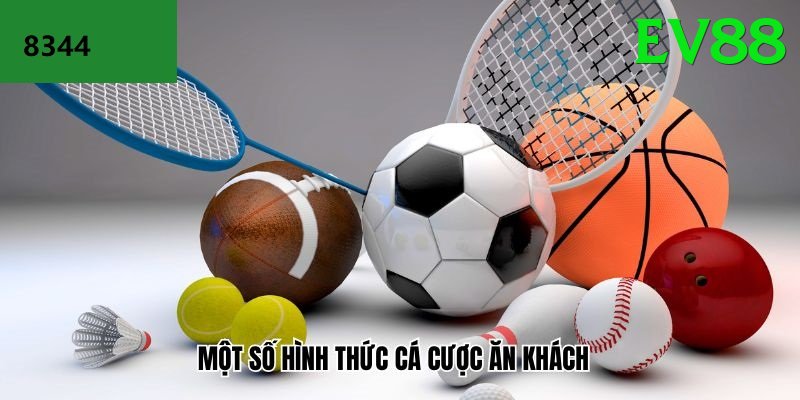 Cá Cược Thể Thao - Trải nghiệm tuyệt vời - Trang phục đẹp